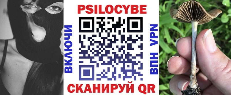 Псилоцибиновые грибы GOLDEN TEACHER  даркнет клад  Перевоз  omg ссылки 